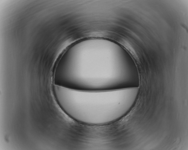 X0000097890992200803141001