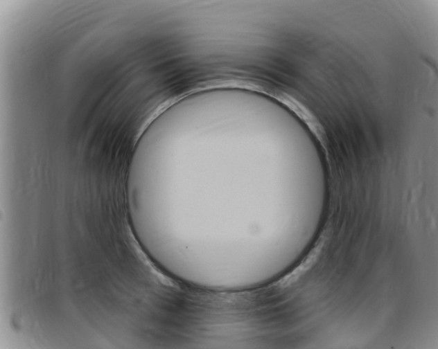 X0000097890993200803141001