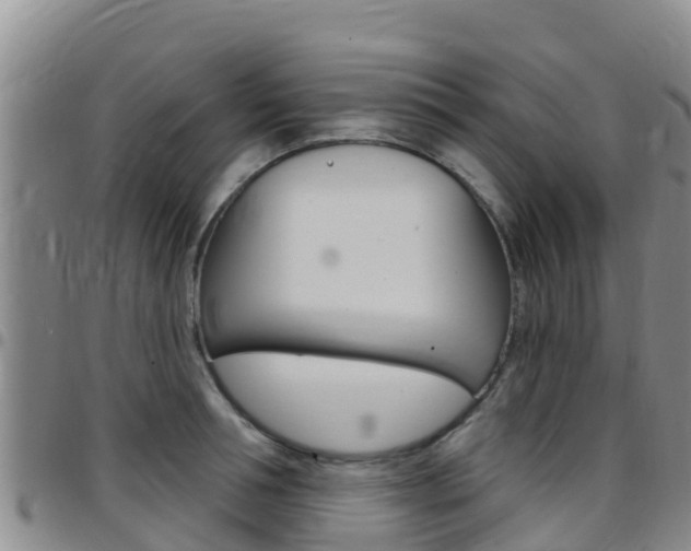 X0000097890994200803141001