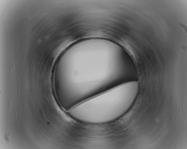 X0000097890995200803141001