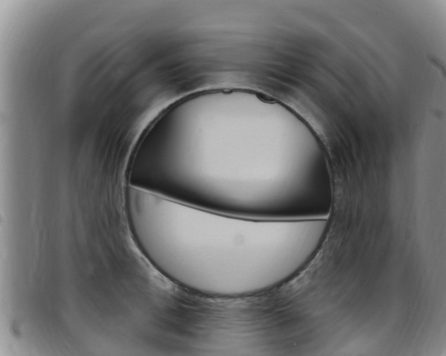 X0000097890996200803141001
