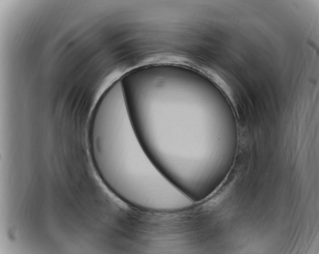X0000097890997200803141001
