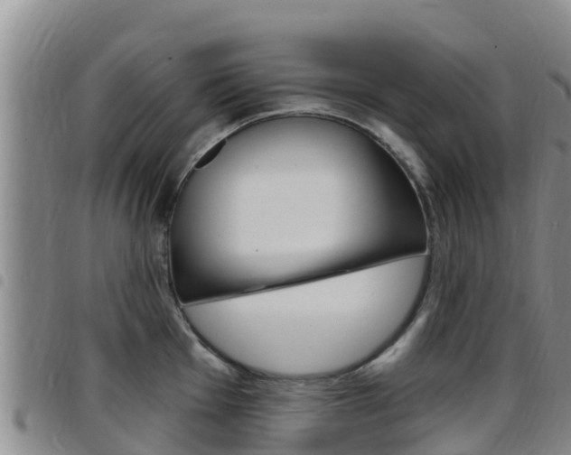 X0000097891001200803141001