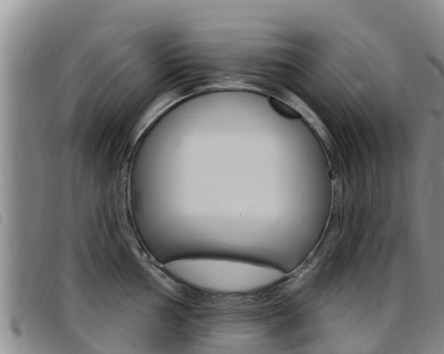 X0000097891002200803141001