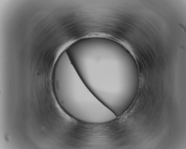 X0000097891003200803141001