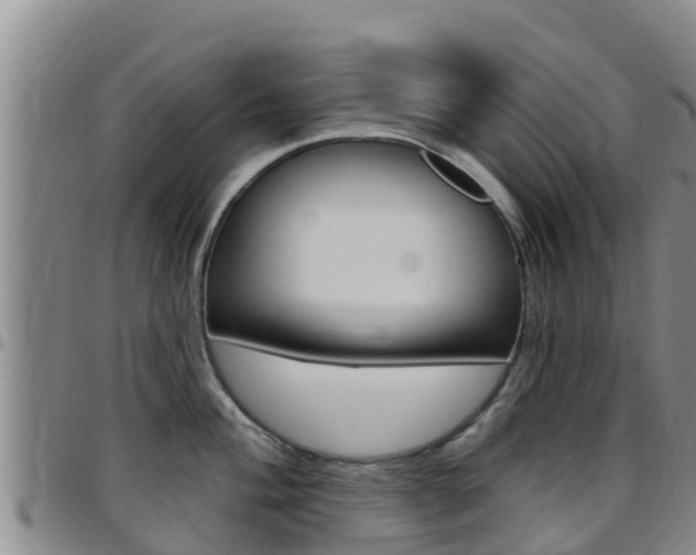 X0000097891004200803141001
