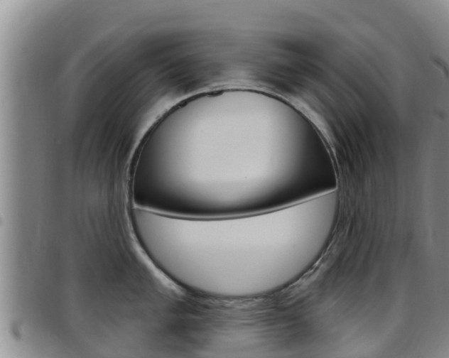 X0000097891005200803141001