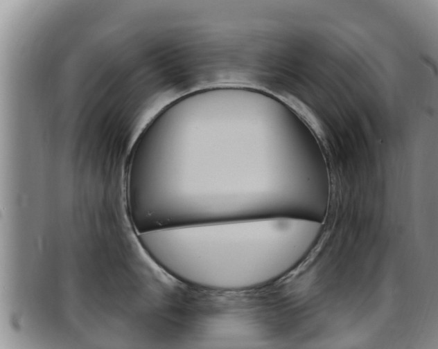 X0000097891006200803141001