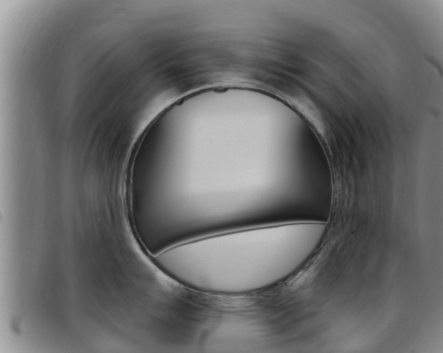 X0000097891007200803141001