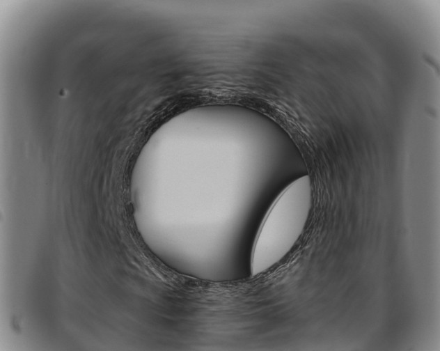 X0000097891009200803141000