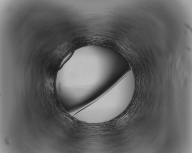 X0000097891010200803141000