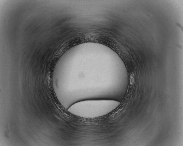 X0000097891011200803141000