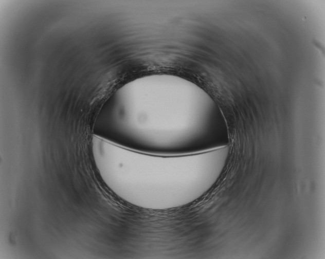 X0000097891012200803141000