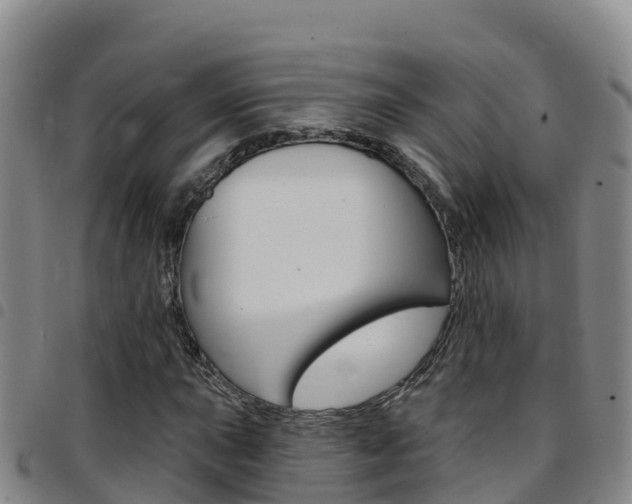 X0000097891015200803141000