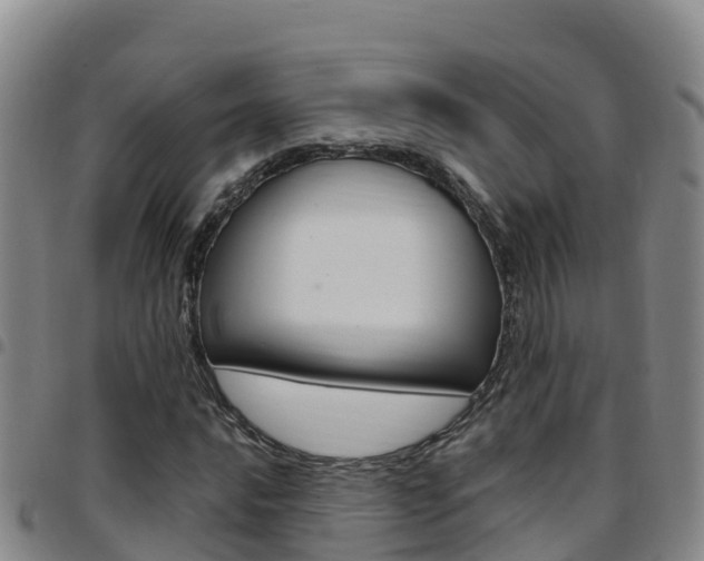 X0000097891016200803141000