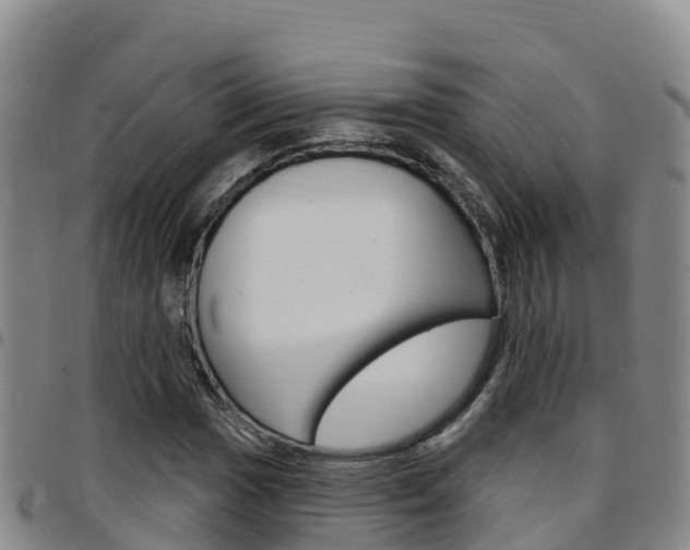 X0000097891017200803141000