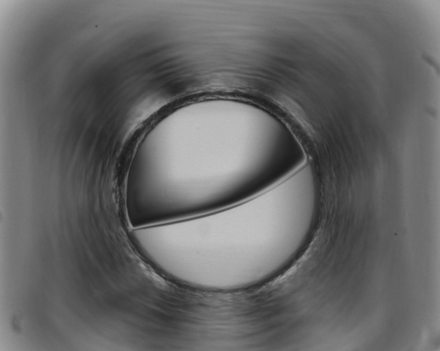 X0000097891018200803141000