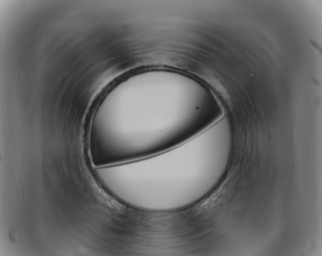 X0000097891020200803141000