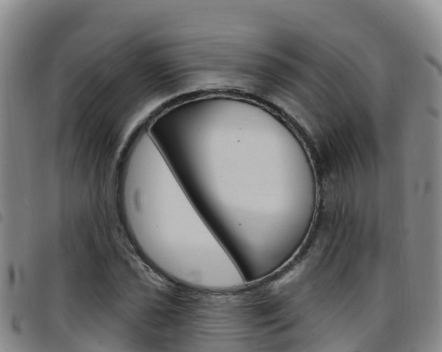 X0000097891021200803141000