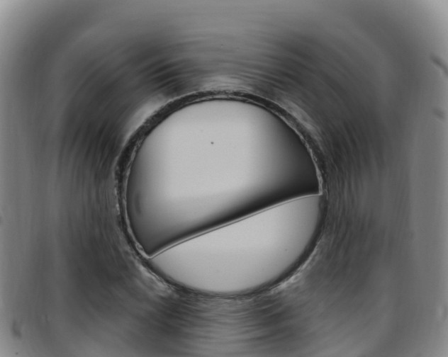 X0000097891022200803141000