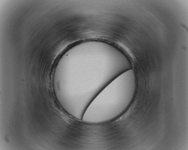 X0000097891023200803141000
