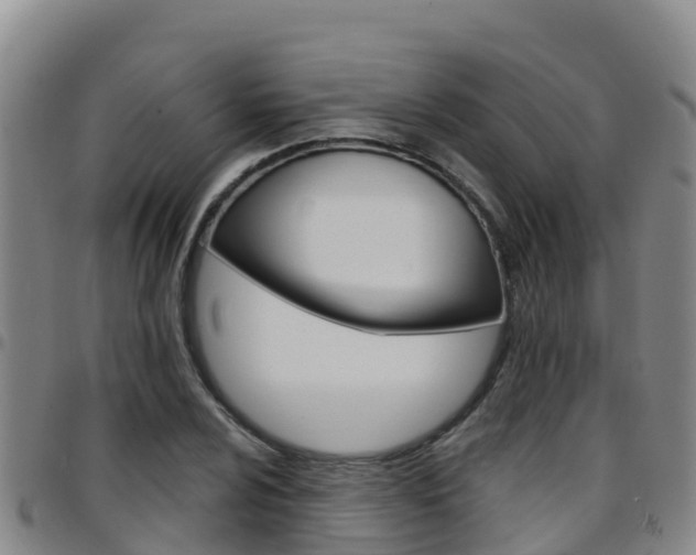 X0000097891024200803141000