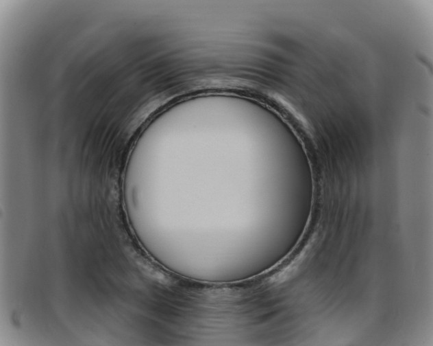 X0000097891025200803141000