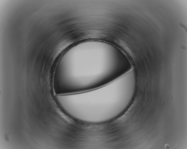 X0000097891026200803141000