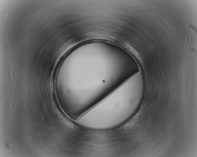 X0000097891028200803141001