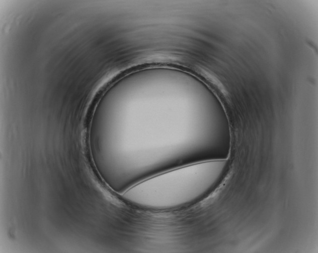 X0000097891029200803141001