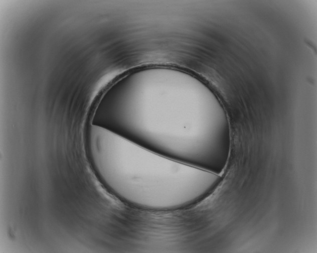 X0000097891030200803141001