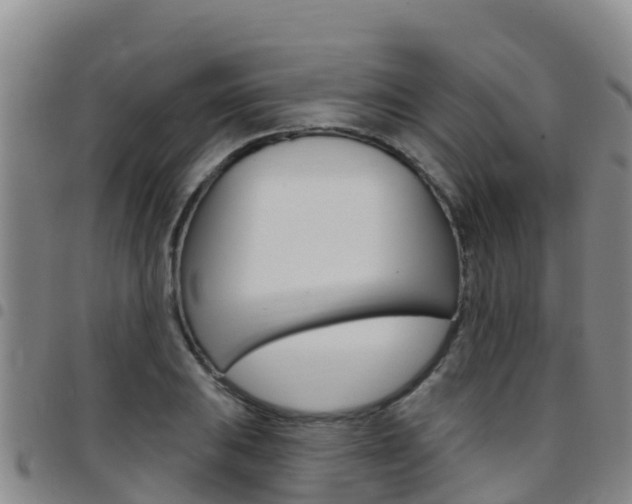 X0000097891031200803141001