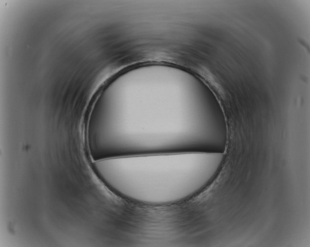 X0000097891032200803141001