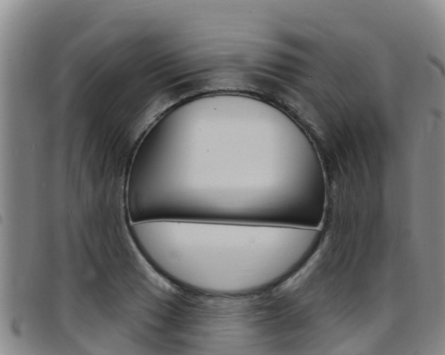 X0000097891033200803141001