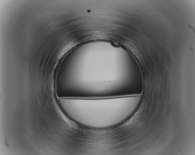 X0000097891034200803141001