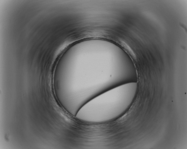 X0000097891035200803141001