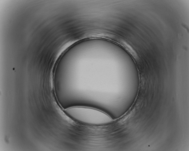 X0000097891036200803141001