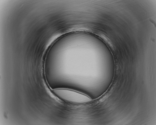 X0000097891038200803141001