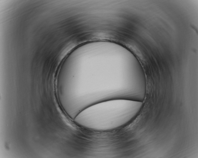 X0000097891039200803141001