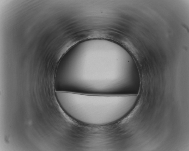 X0000097891041200803141001