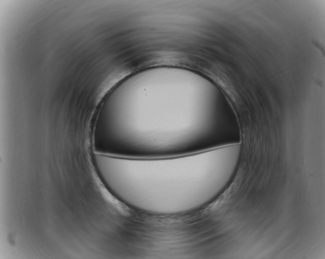X0000097891042200803141001