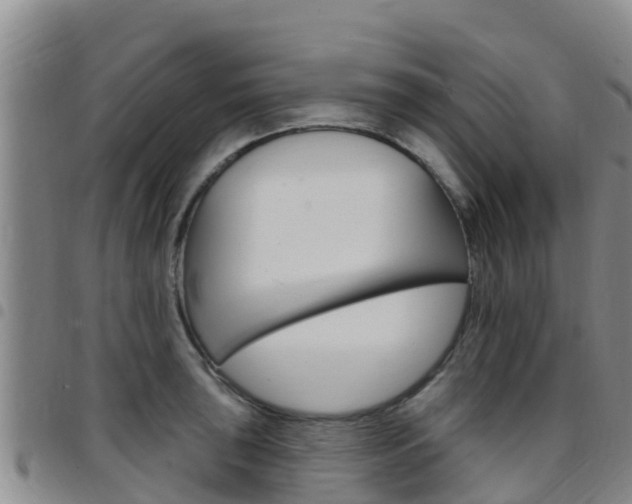 X0000097891043200803141001