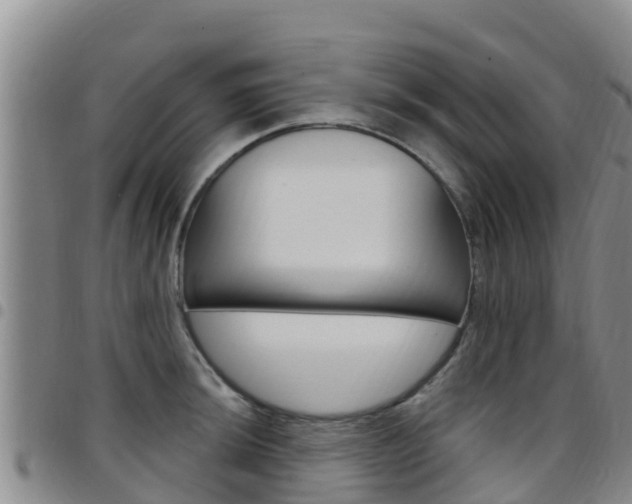 X0000097891044200803141001