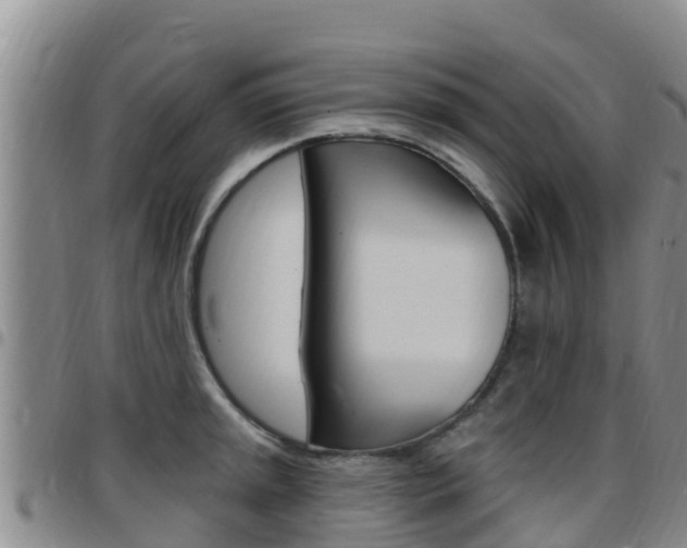 X0000097891045200803141001