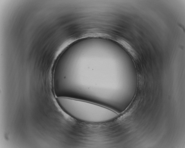 X0000097891046200803141001