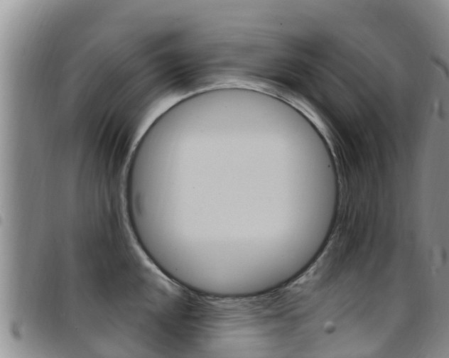 X0000097891048200803141001