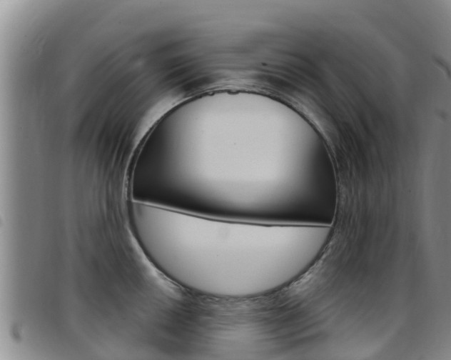 X0000097891050200803141001