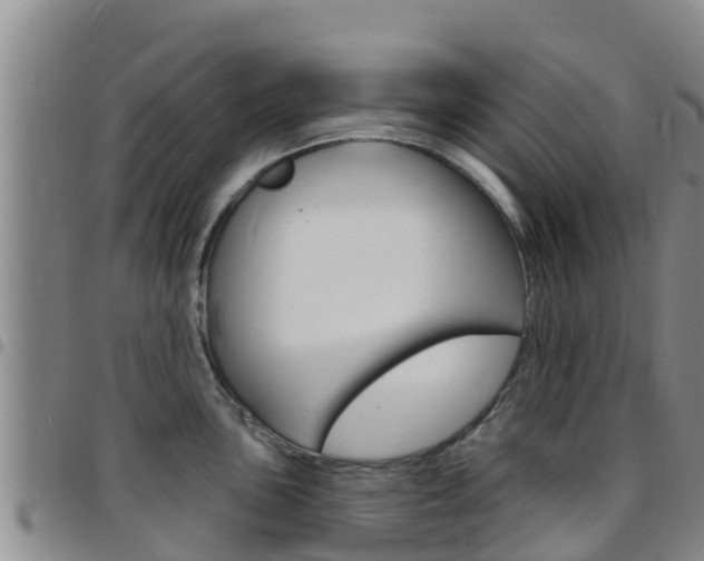 X0000097891051200803141001