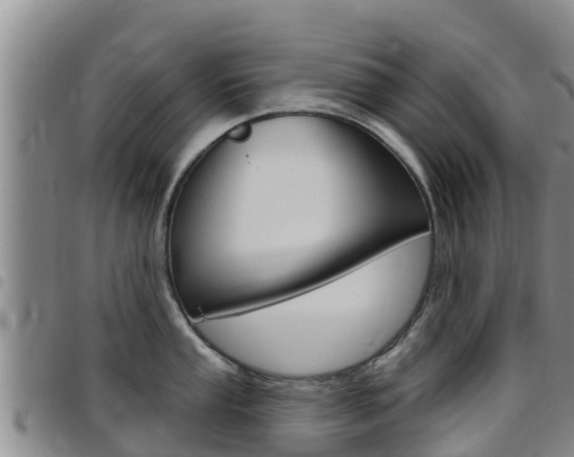 X0000097891053200803141001
