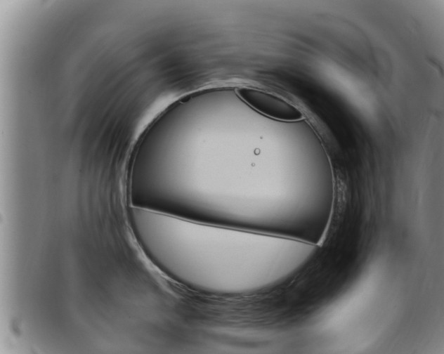 X0000097891054200803141001